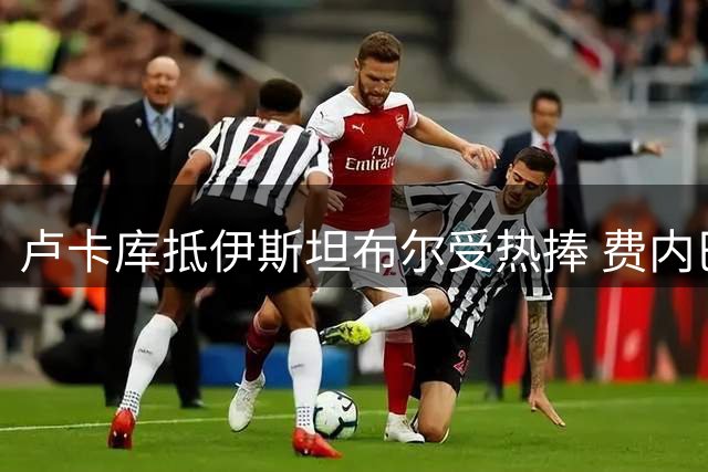 卢卡库抵伊斯坦布尔受热捧 费内巴切球迷如愿以偿