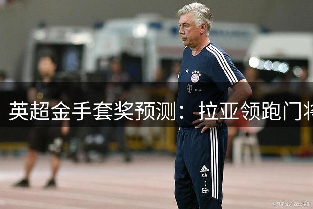英超金手套奖预测：拉亚领跑门将争夺战