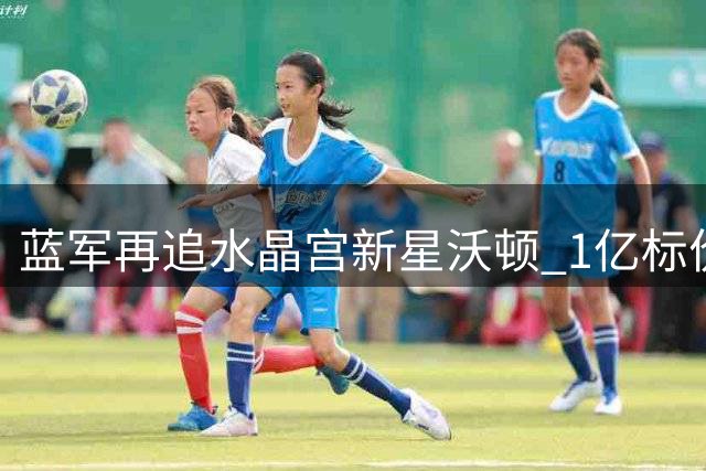 蓝军再追水晶宫新星沃顿 1亿标价成转会最大障碍